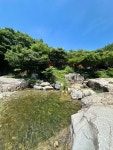 온더밸리