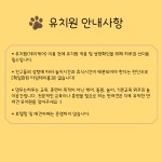 멈무는하루 애견유치원