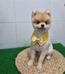 꾸안꾸독애견미용실