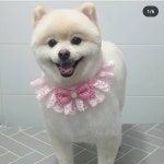 꾸안꾸독애견미용실