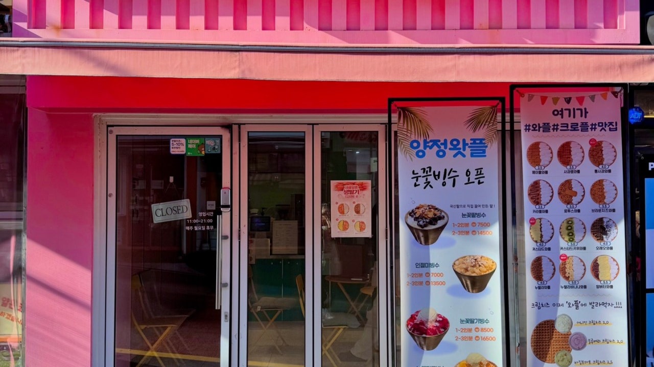 양정왓플