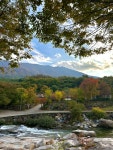 온더밸리