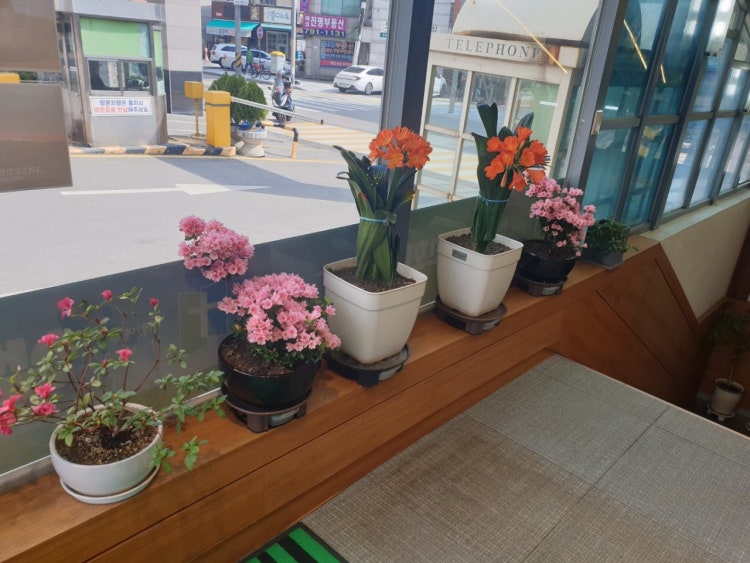 샘솟는교회 사진 5