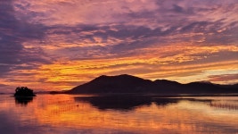 순천만에코비치