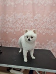 오늘THE이쁘개
