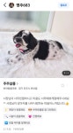 주주살롱