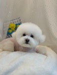말랑멍무