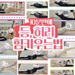 바르체 바른체형운동