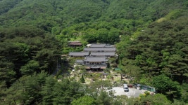카페솔향