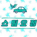 스팀요정 손세차 디테일링 영등포본점