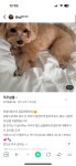 주주살롱