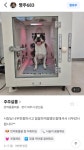 주주살롱