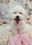 멍몽s