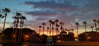 조이앤조이투어