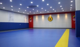 경용태권도