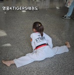 영웅KTIGERS태권도 1관본관