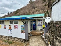 진이네