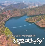 초평호 미르309 출렁다리