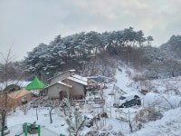 숲속베짱이펜션