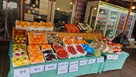 중앙청과달당