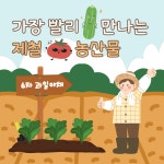 대우대박야채과일