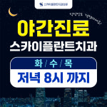 스카이플란트치과의원 포항