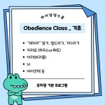 마이댕댕스쿨
