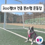 서촌동댕번지 애견 호텔&유치원&카페