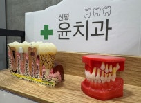 윤치과의원