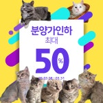 오즈캣 DMC점 마포은평