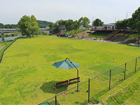 강남탄천파크골프장