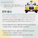 몽이네펫택시