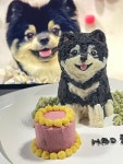 놀면멍하냥