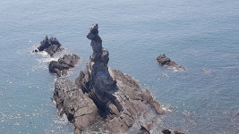 서해여행사
