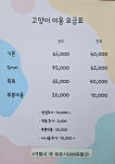 고양이무마취미용 댕냥이살롱