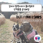 서촌동댕번지 애견 호텔&유치원&카페