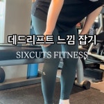 식스컷츠 피트니스 안성 공도점