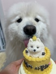 놀면멍하냥