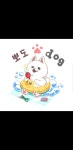 뽀도DOG