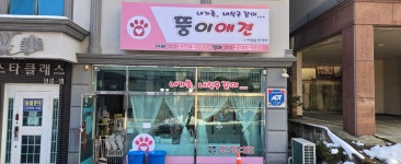 뚱이애견