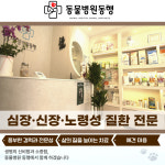 도곡동행동물병원