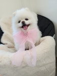 반듯한멍이