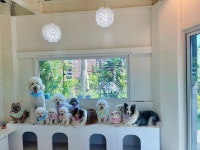 멈무아지트 애견유치원 & 호텔 & 미용