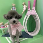 샤멍샤멍 반려견미용실