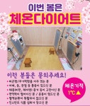 바디쉐프