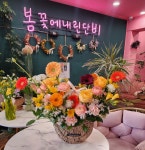 봄꽃에내린단비