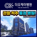 더오케이병원