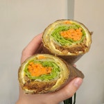 닥스훈트