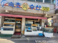 속초회수산