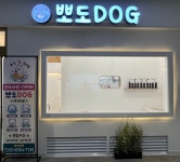 뽀도DOG